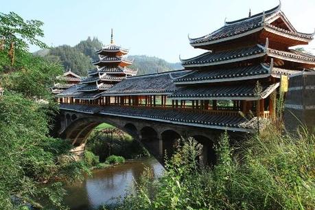 01911 Un salto oltre l’ostacolo: di Marco Bizzarri e Paola Pardini