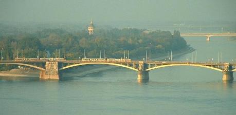 00212 Un salto oltre l’ostacolo: di Marco Bizzarri e Paola Pardini