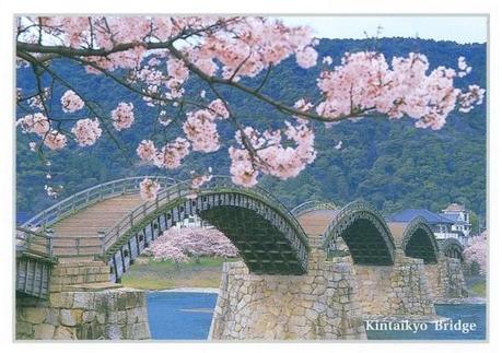 01711 Un salto oltre l’ostacolo: di Marco Bizzarri e Paola Pardini