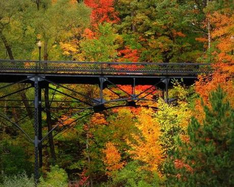 02011 Un salto oltre l’ostacolo: di Marco Bizzarri e Paola Pardini