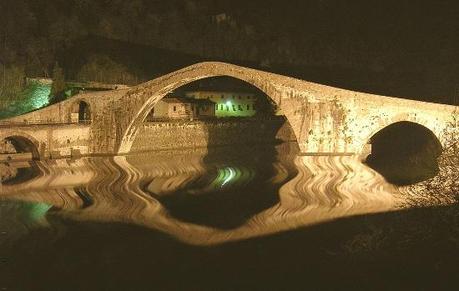 01211 Un salto oltre l’ostacolo: di Marco Bizzarri e Paola Pardini