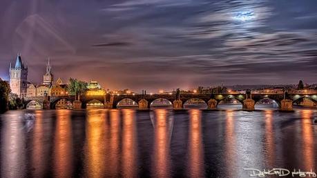 01311 Un salto oltre l’ostacolo: di Marco Bizzarri e Paola Pardini