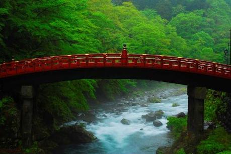 01611 Un salto oltre l’ostacolo: di Marco Bizzarri e Paola Pardini