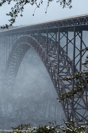 00512 Un salto oltre l’ostacolo: di Marco Bizzarri e Paola Pardini