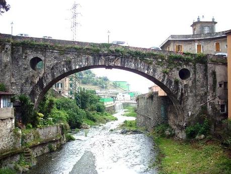00812 Un salto oltre l’ostacolo: di Marco Bizzarri e Paola Pardini