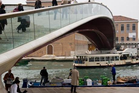 01113 Un salto oltre l’ostacolo: di Marco Bizzarri e Paola Pardini