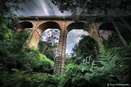 00112 Un salto oltre l’ostacolo: di Marco Bizzarri e Paola Pardini