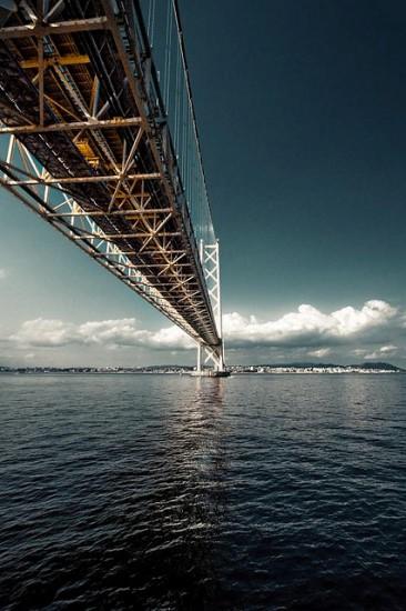 01811 Un salto oltre l’ostacolo: di Marco Bizzarri e Paola Pardini