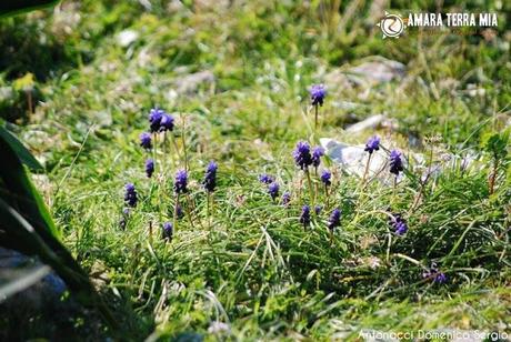 FOTO - Trekking archeologico, la Necropoli di Monte Pucci a Vico del Gargano