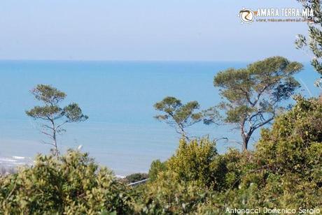FOTO - Trekking archeologico, la Necropoli di Monte Pucci a Vico del Gargano