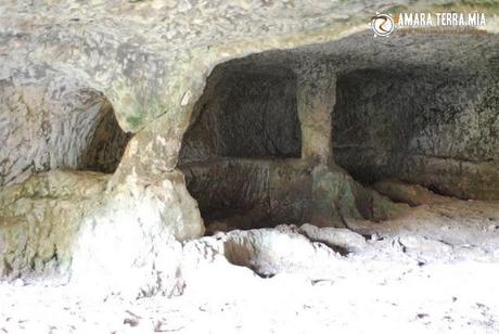 FOTO - Trekking archeologico, la Necropoli di Monte Pucci a Vico del Gargano