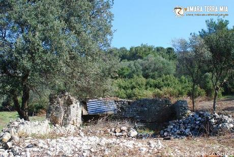 FOTO - Trekking archeologico, la Necropoli di Monte Pucci a Vico del Gargano