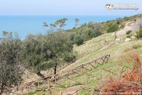 FOTO - Trekking archeologico, la Necropoli di Monte Pucci a Vico del Gargano