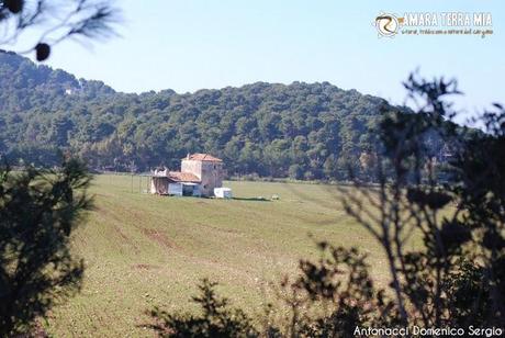 FOTO - Trekking archeologico, la Necropoli di Monte Pucci a Vico del Gargano