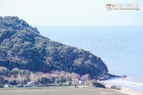 FOTO - Trekking archeologico, la Necropoli di Monte Pucci a Vico del Gargano