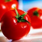 vitamina K pomodori licopene cromo calcoli renali acido cumarico acido clorogenico 