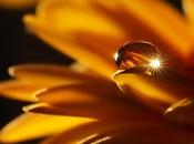 Soli (prima diventare Amore)