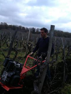 Born in Sicily. Degustazione dei vini etnei di Tenuta di Fessina al Mornington Hotel di Stoccolma