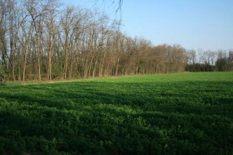 Creati 19 Distretti Agricoli Lombardi: c'è anche la Valle Olona