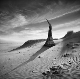 Dariusz Klimczak