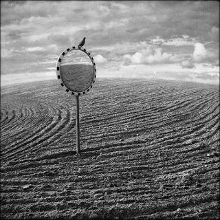 Dariusz Klimczak