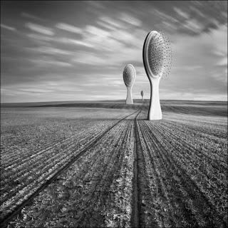 Dariusz Klimczak