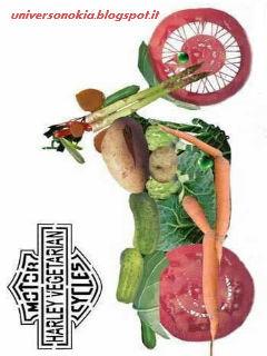 Moto Vegetarian