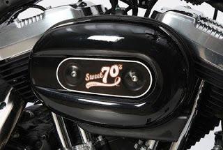 Harley-Davidson Forty-Eight Sweet 70′s 2013