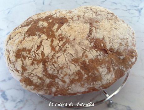 Pane rustico con farina 0