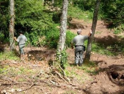 Denuncia della Forestale «Sul Gargano opera una mafia del legname»