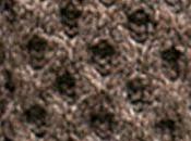 Aran, amore fantasia: Favo Miele Nido d'Api (12)