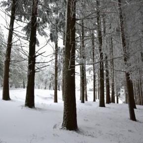 Monte Senario - 23 Febbraio 2013