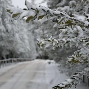 Monte Senario - 23 Febbraio 2013