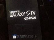 Samsung Galaxy Snapdragon nuova foto!