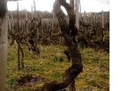 coppia oltre mezzo secolo. All’ombra della Muntagna