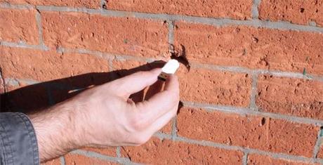 Dead Drops Network – I pirati alla conquista di Carrara