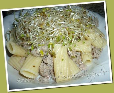 Maccheroni con maiale macinato e germogli misti (10)