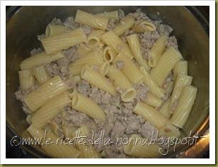 Maccheroni con maiale macinato e germogli misti (6)