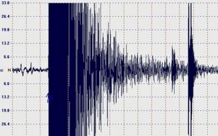 289434 sismografo terremoto Forte terremoto in Giappone, per ora nessun allarme tzunami