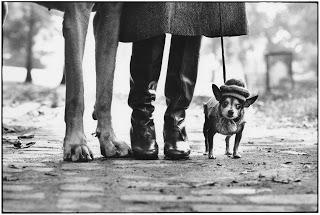 Fifty kids / Elliott Erwitt