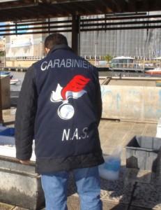 Bari – Carne equina, sequestri anche in Puglia