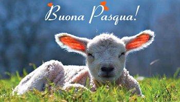 A Pasqua salviamogli la vita!