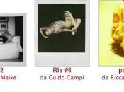 Foto della settimana