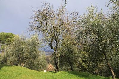 domenica di tempo volubile