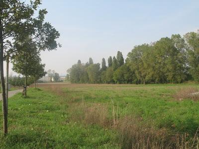 I terreni della zona precollinare (e non solo) possono essere salvati