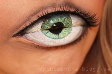 sandraholmbomlipeyemakeup3