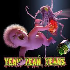 musica,video,testi,traduzioni,yeah yeah yeahs,video yeah yeah yeahs,testi yeah yeah yeahs,traduzioni yeah yeah yeahs