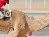 Emirati Arabi: largo fantini radiocomandabili