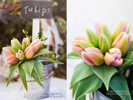 tulips