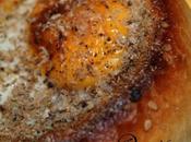 Scrigno pane all'uovo tartufo